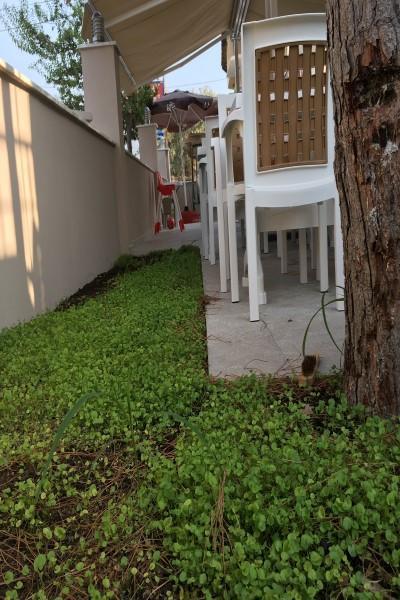 Vira Hotel Дальян Экстерьер фото